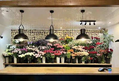 Kwiaciarnia Cyklamen